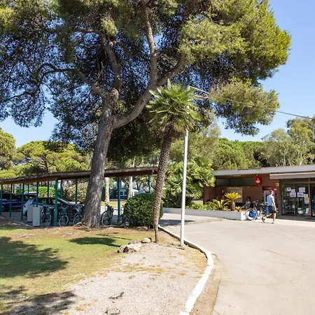 Holacamp Barcelona * Gavà