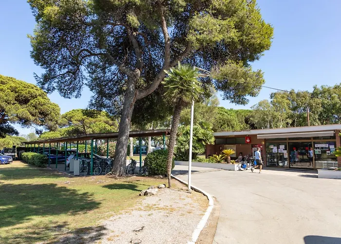 Holacamp Barcelona * Gava